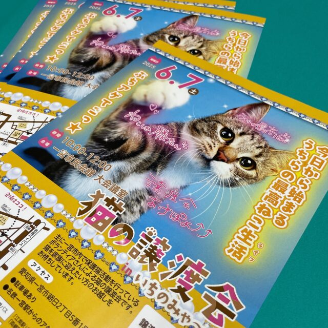 一宮市動物愛護事務所様よりご依頼いただきまして、
「猫の譲渡会inいちのみゃ〜」 の案内チラシと、
デジタルサイネージ用データをお作りさせて頂きました🐈

今回のデザインは、
保護猫ちゃんたちが運命的な出会いを求め、
バイブスをあげて待っているよ✨🕺✨
そんなイメージでお作りさせて頂きました😸笑笑
平成のギャル文化を想像させる、
ポップでキュートなチラシが完成いたしました💁🏻‍♀️

こちらの譲渡会は今週６月７日(土)
一宮市民会館にて開催されます🐾

【猫の譲渡会 in いちのみゃ〜】

日　時
2025年6月7日（土曜日）10時00分～12時00分

会　場
一宮市民会館　1階大会議室
（愛知県一宮市朝日2丁目5番1号）
※無料駐車場あり　入場無料

譲渡会会場にはたくさんの可愛い猫ちゃんたちが
ずっとのご家族様とのご縁を待っています😻

猫を飼いたいなと思ってる方は是非、
保護猫を迎え入れる選択肢を増やして頂けたら嬉しいです🥹
ペットショップに行く前に、
是非一度、譲渡会に参加してみて下さいね😊
見学だけでも大歓迎ですよ👌

皆様のご来場、心よりお待ちしております🥹💓

#一宮市動物愛護事務所
#保護猫譲渡会

🐾

🐾

🐾

『伝える・つながる』にこだわる
地元密着のデザイン印刷会社
★★★★★★★★★★★★
名刺 チラシ DM ポスター
パッケージ 紙袋 箱 
ポスティング 新聞折込
冊子 シール チケット 看板
のぼり ロゴデザイン ホームページなど
WEB関連までご相談下さい👍
❄︎ ❄︎ ❄︎ ❄︎ ❄︎ ❄︎ ❄︎ ❄︎ ❄︎ ❄︎ ❄︎ ❄︎ ❄︎
有限会社 シンセイ印刷
〒491-0838 
一宮市猿海道3-10-3
TEL （0586）72-1974
FAX（0586）72−7489
★★★★★★★★★★★★

#一宮市
#地元密着
#シンセイ印刷
#一宮市印刷会社
#印刷会社
#印刷
#一宮市デザイン
#一宮市看板
#一宮市シール
#一宮市パッケージ

#猫スタグラム
#猫好き #黒猫 #三毛猫
#きじとら #はちわれねこ
#さくらねこ #保護猫
#保護猫を家族に
#にゃんだふるらいふ
#猫好きさんと繋がりたい
#ねこのいる生活